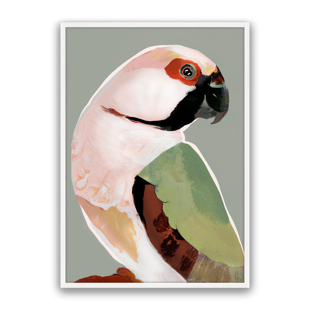Prasine Parrot