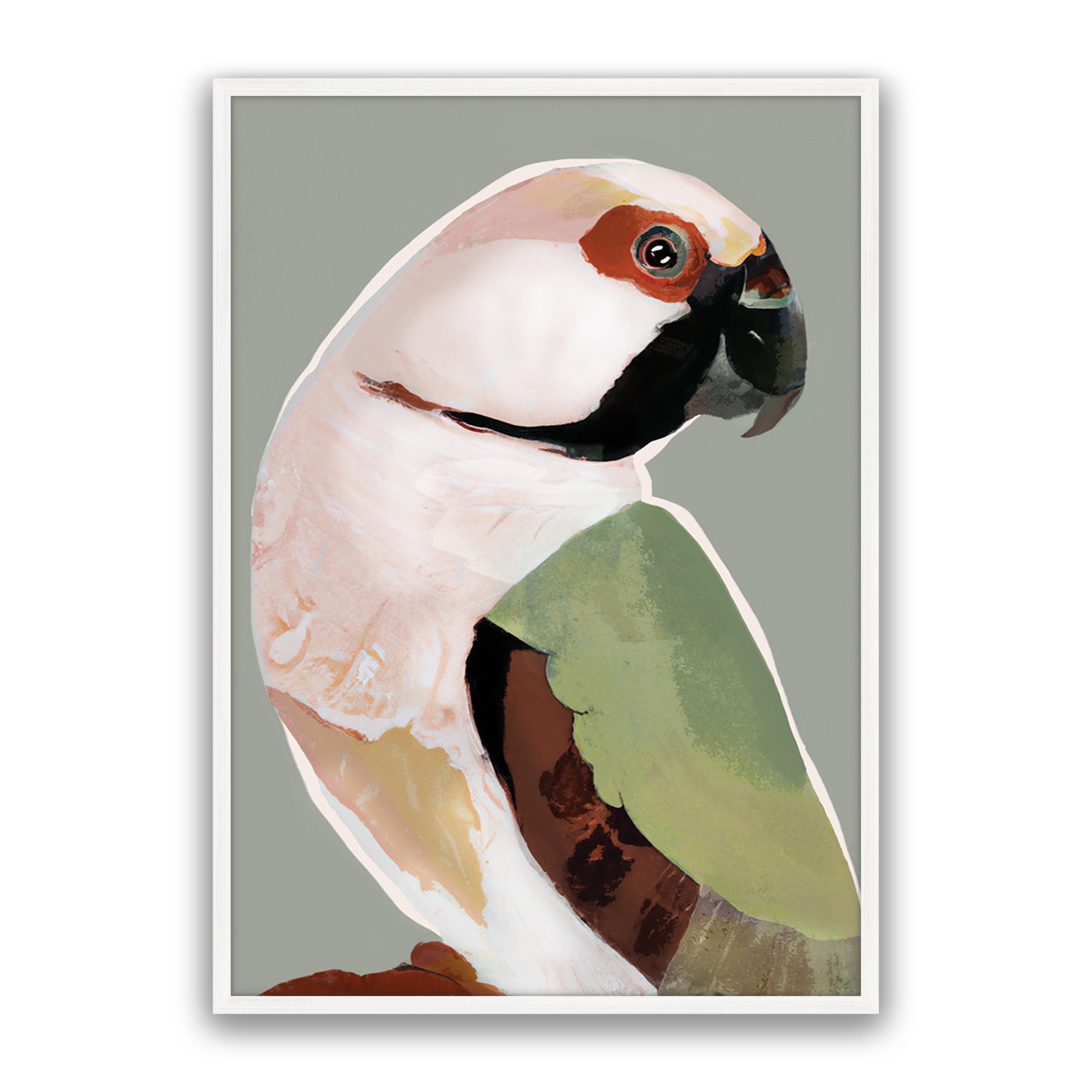 Prasine Parrot
