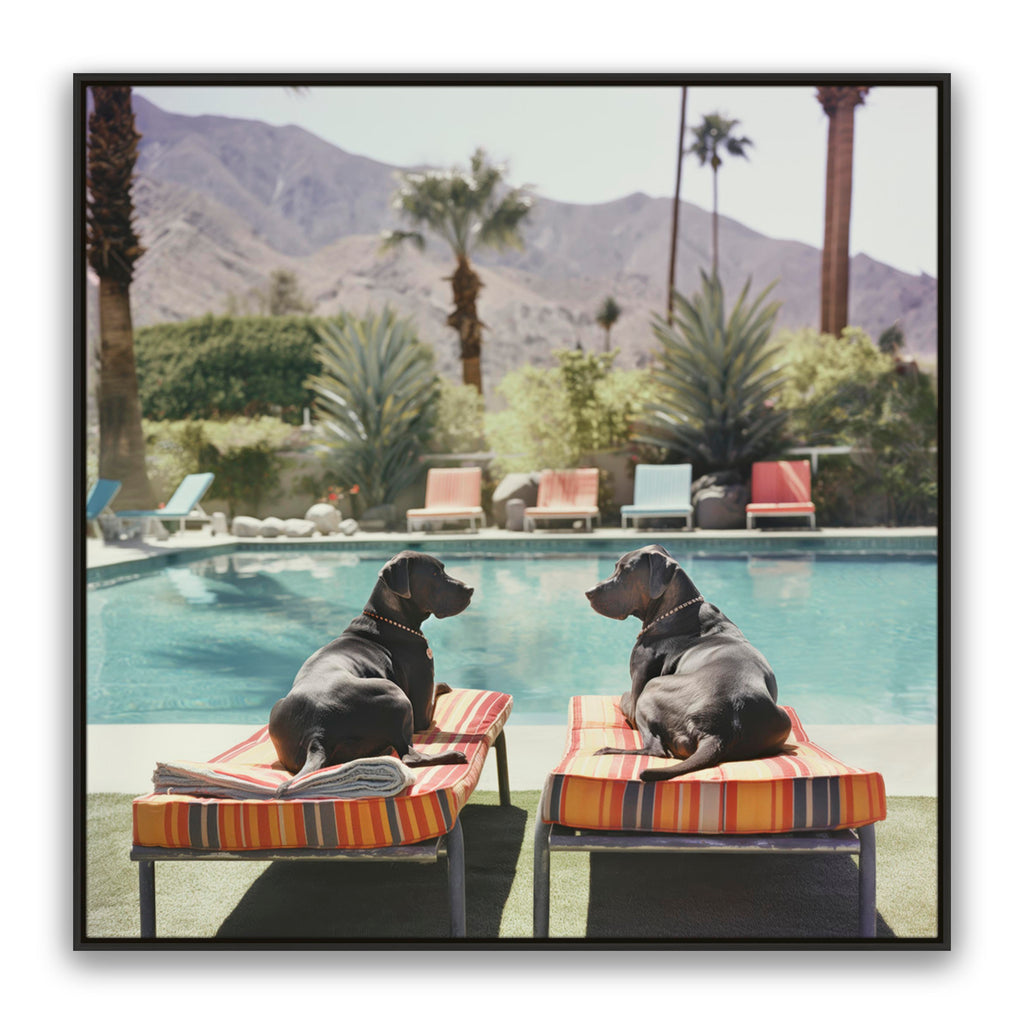 Pool Pals