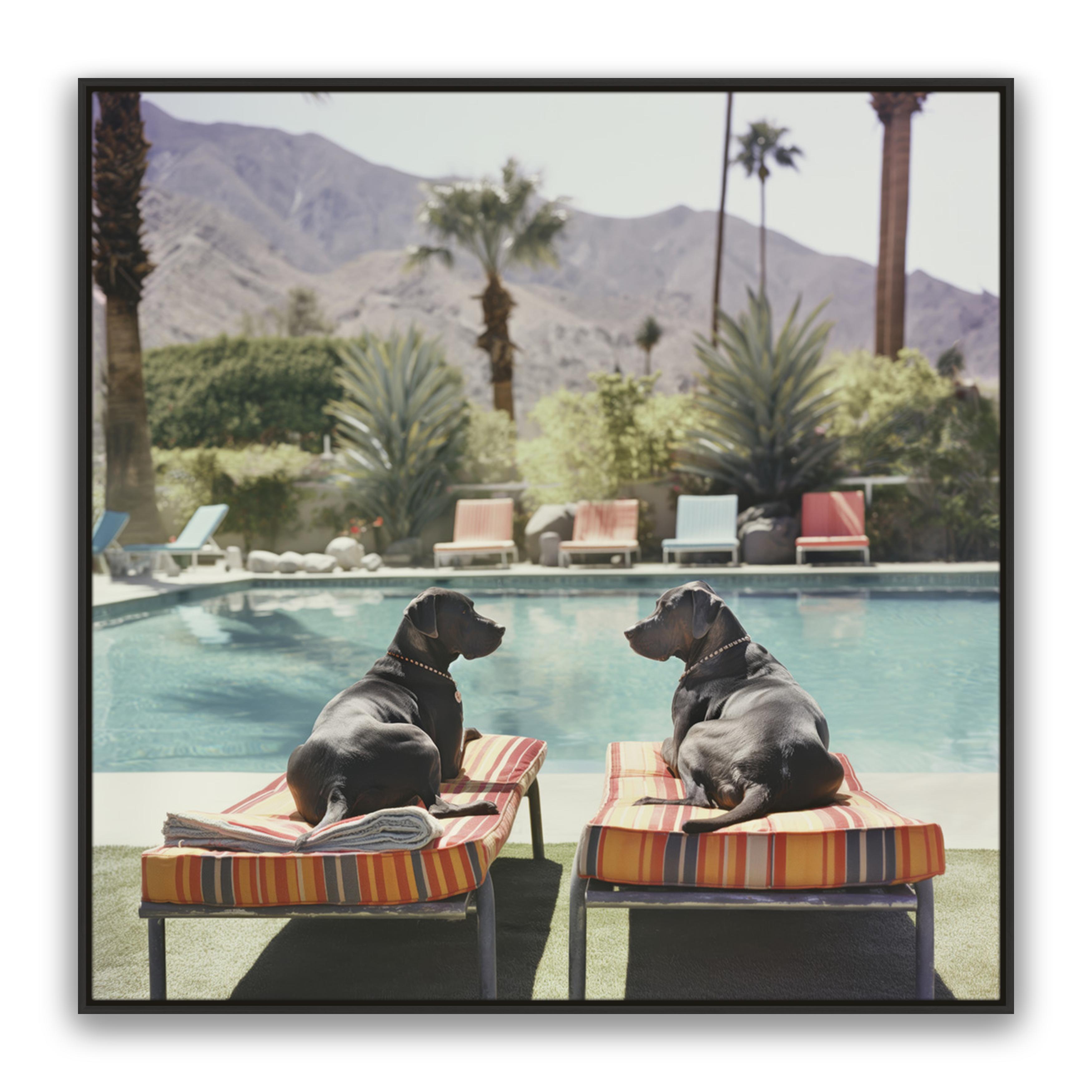 Pool Pals