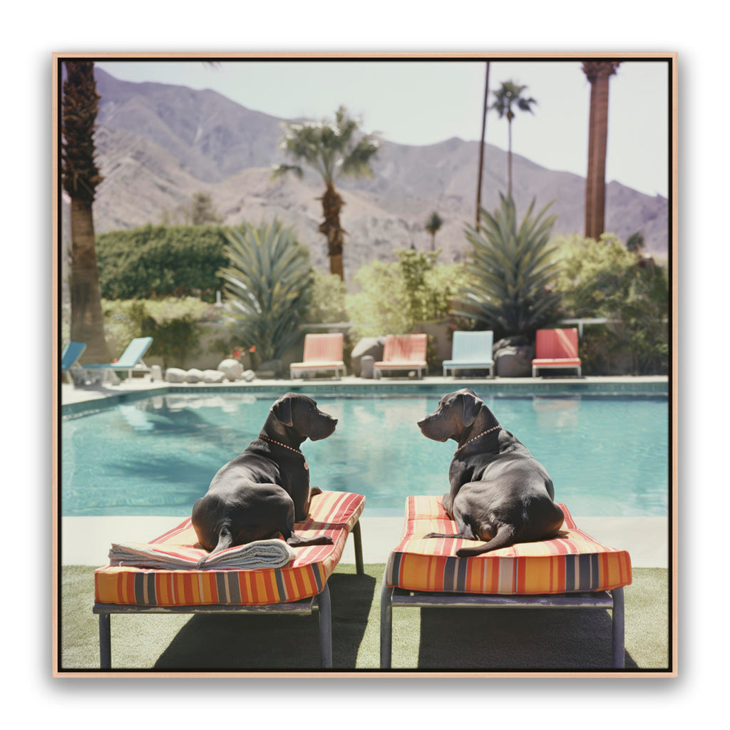 Pool Pals