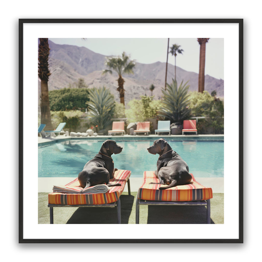 Pool Pals