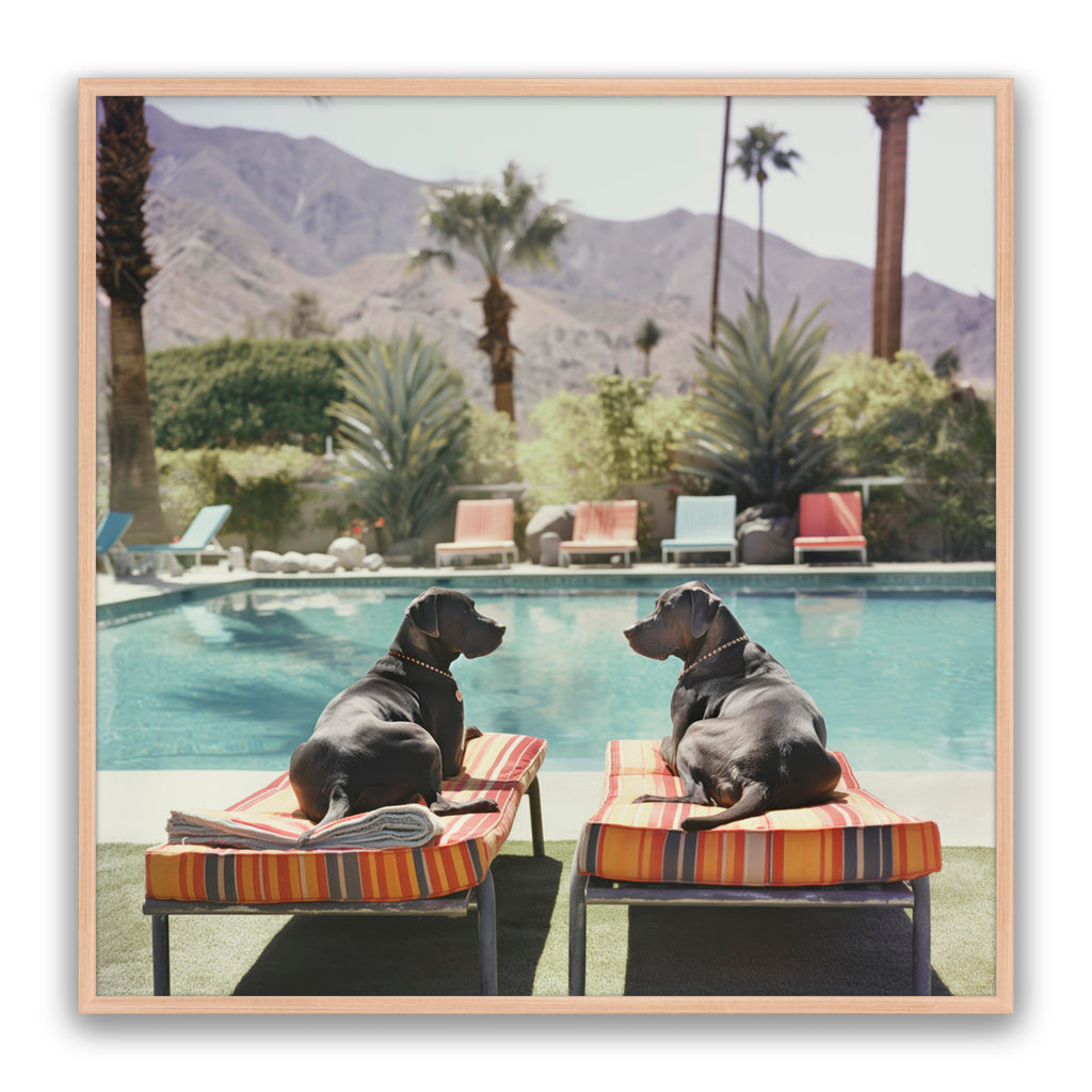 Pool Pals