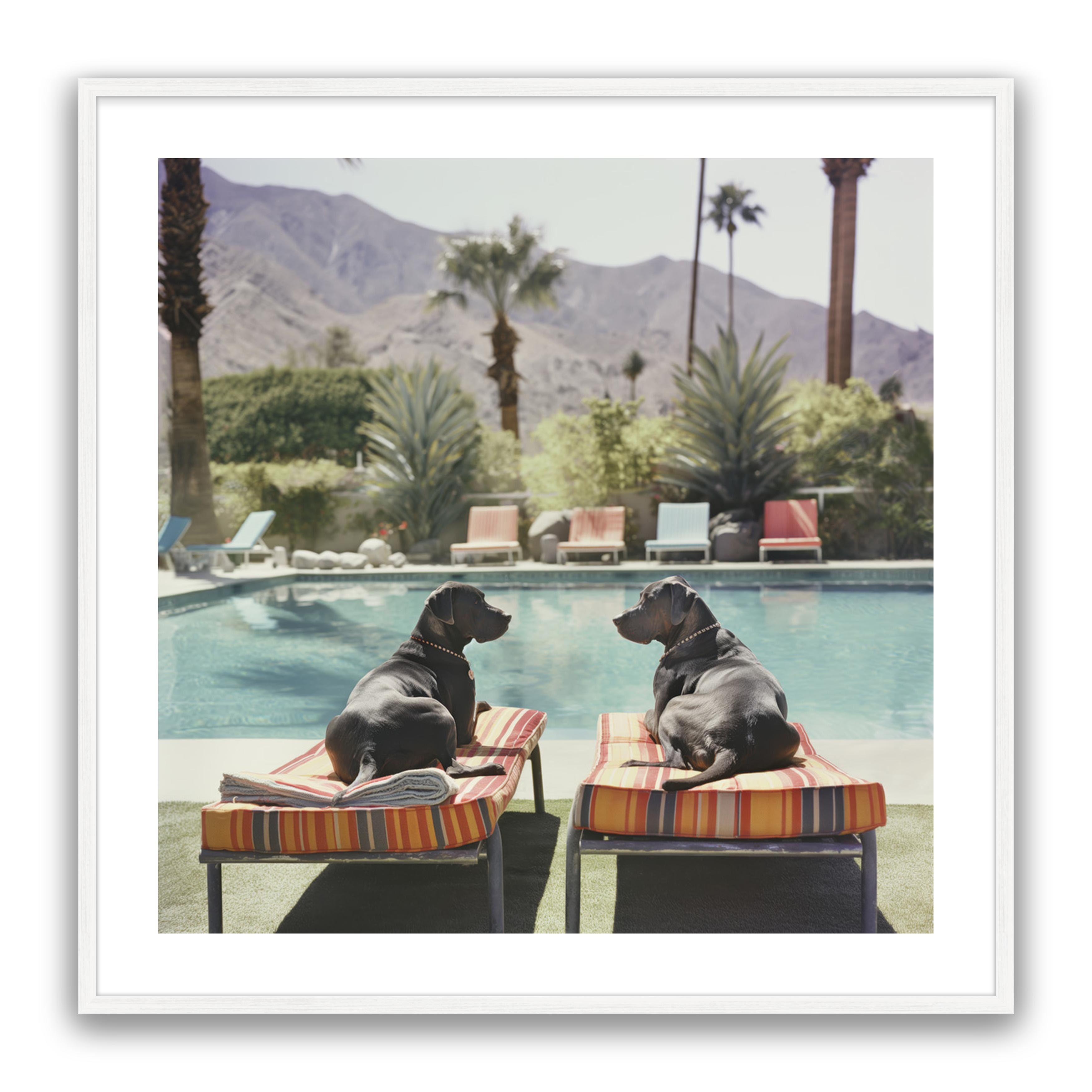 Pool Pals
