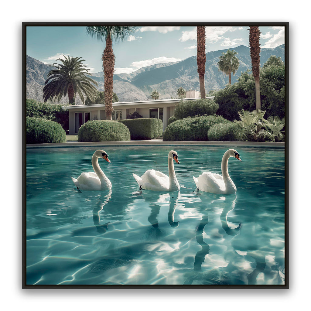 Lady Swans
