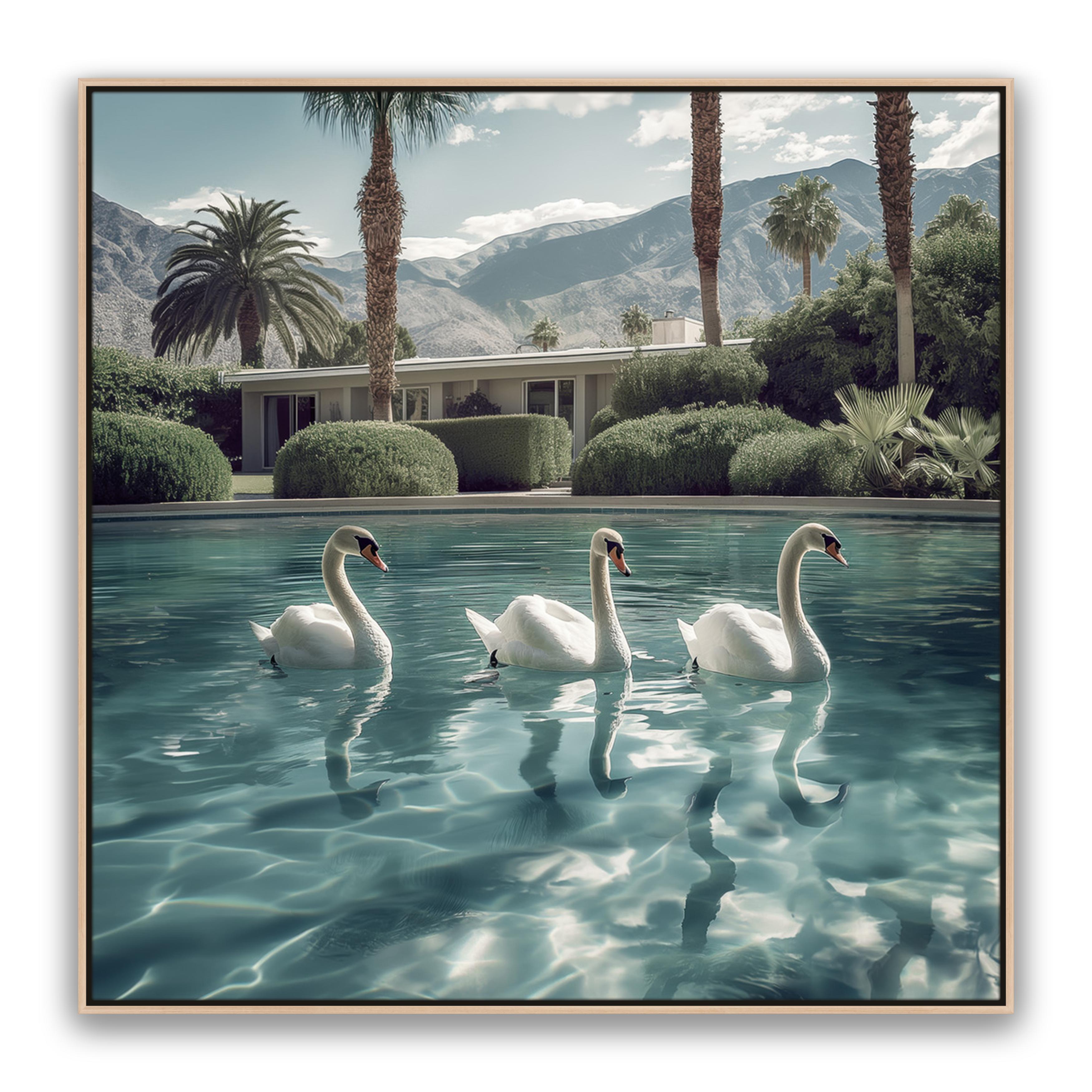 Lady Swans
