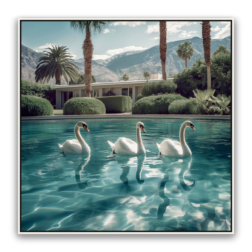 Lady Swans