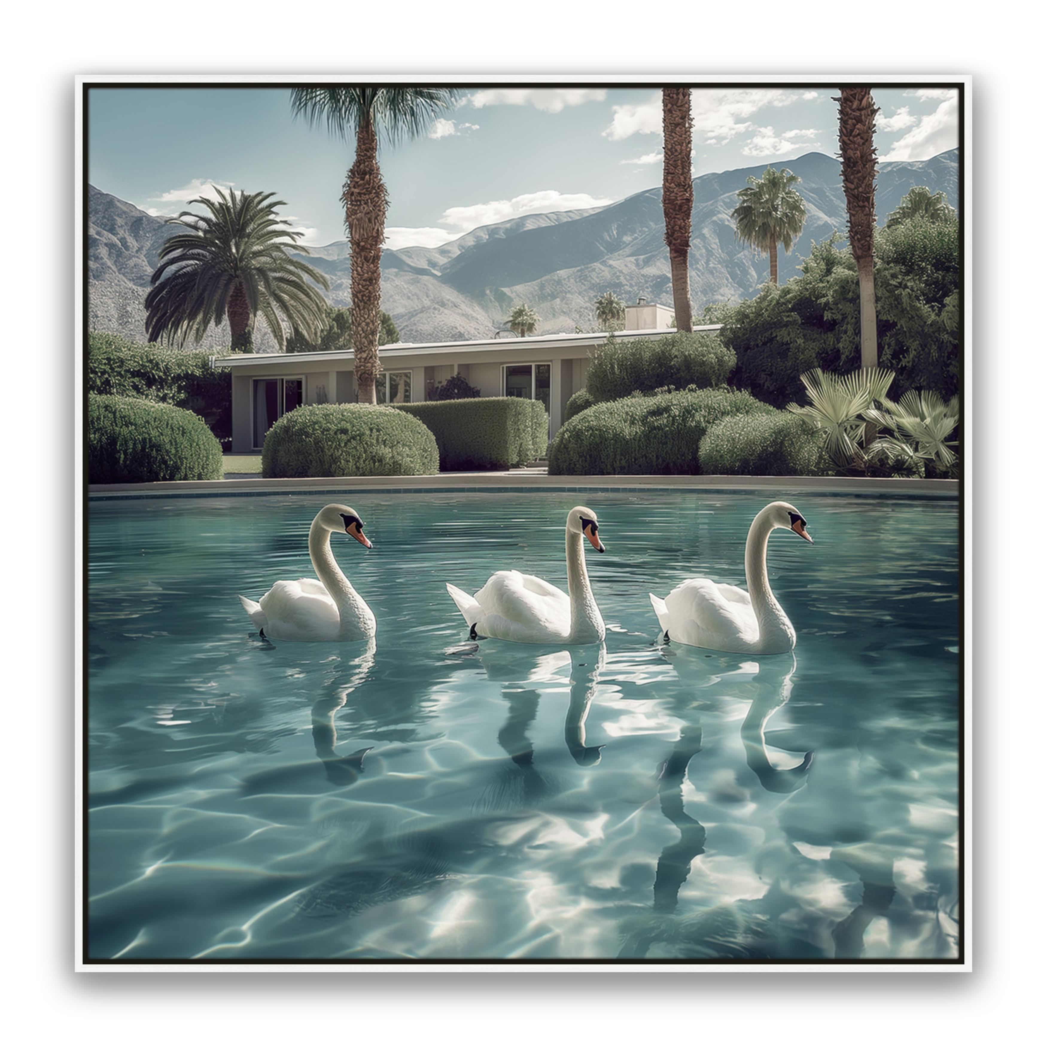 Lady Swans