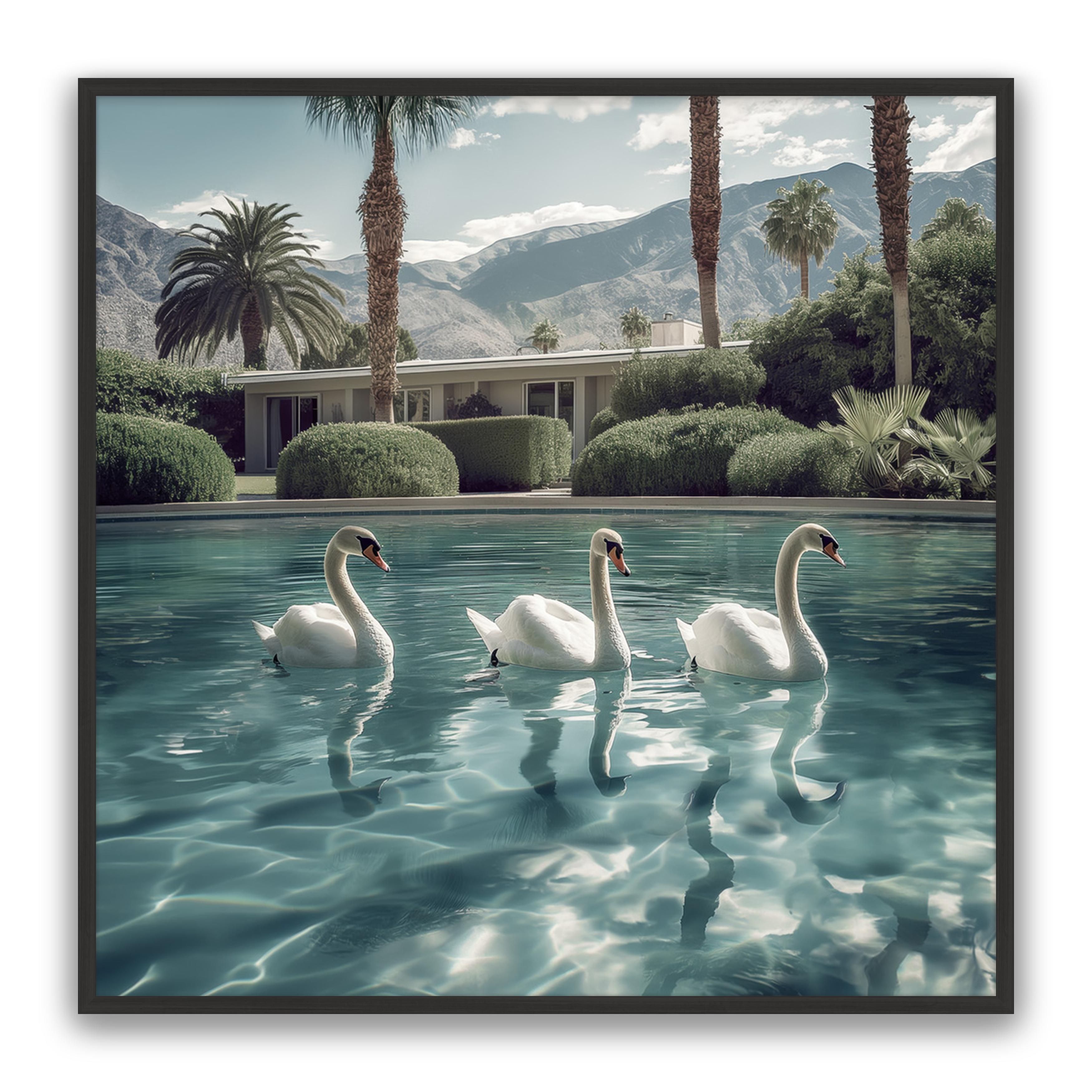 Lady Swans