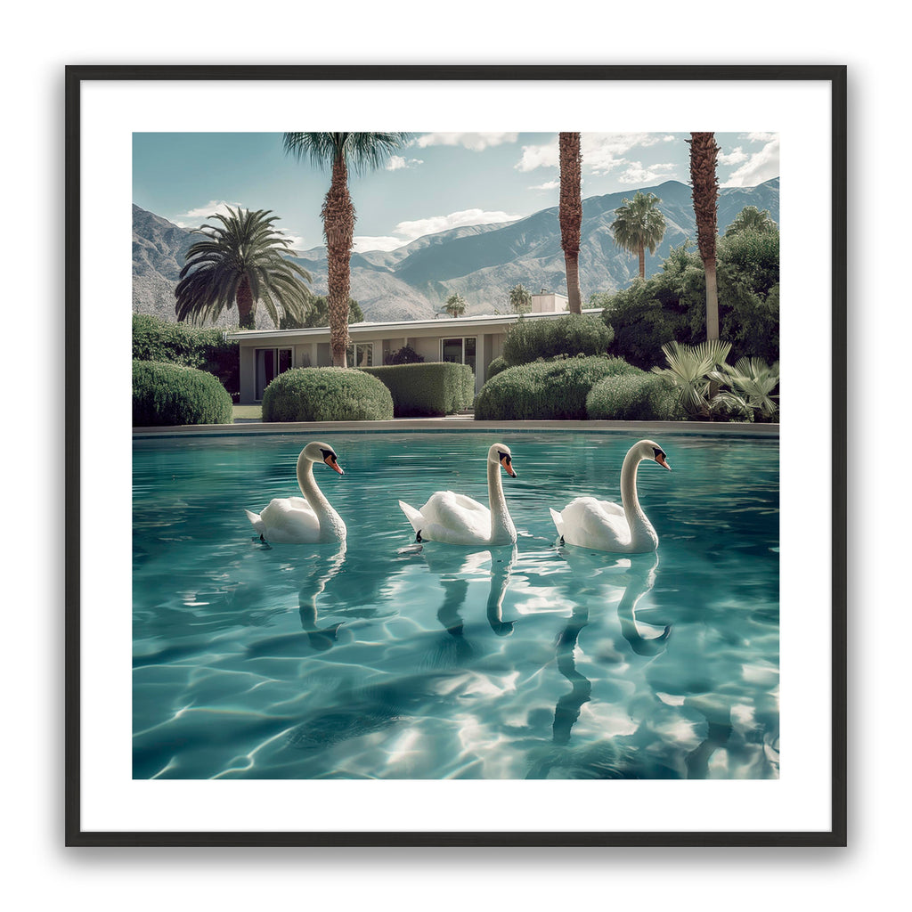 Lady Swans