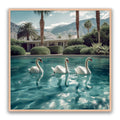 Lady Swans