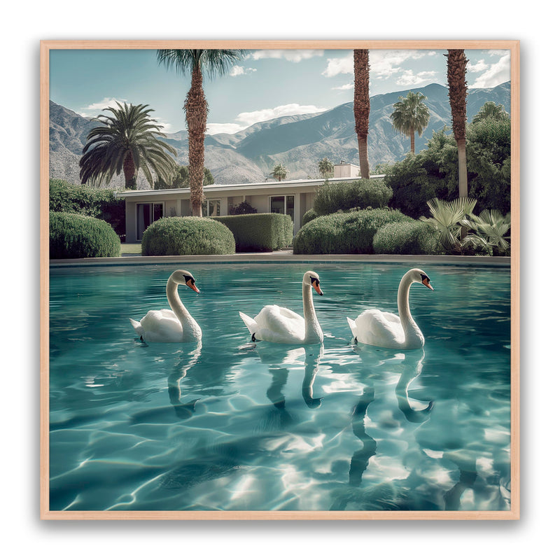 Lady Swans