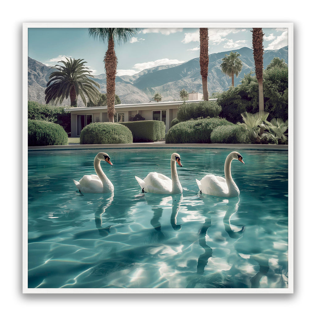 Lady Swans