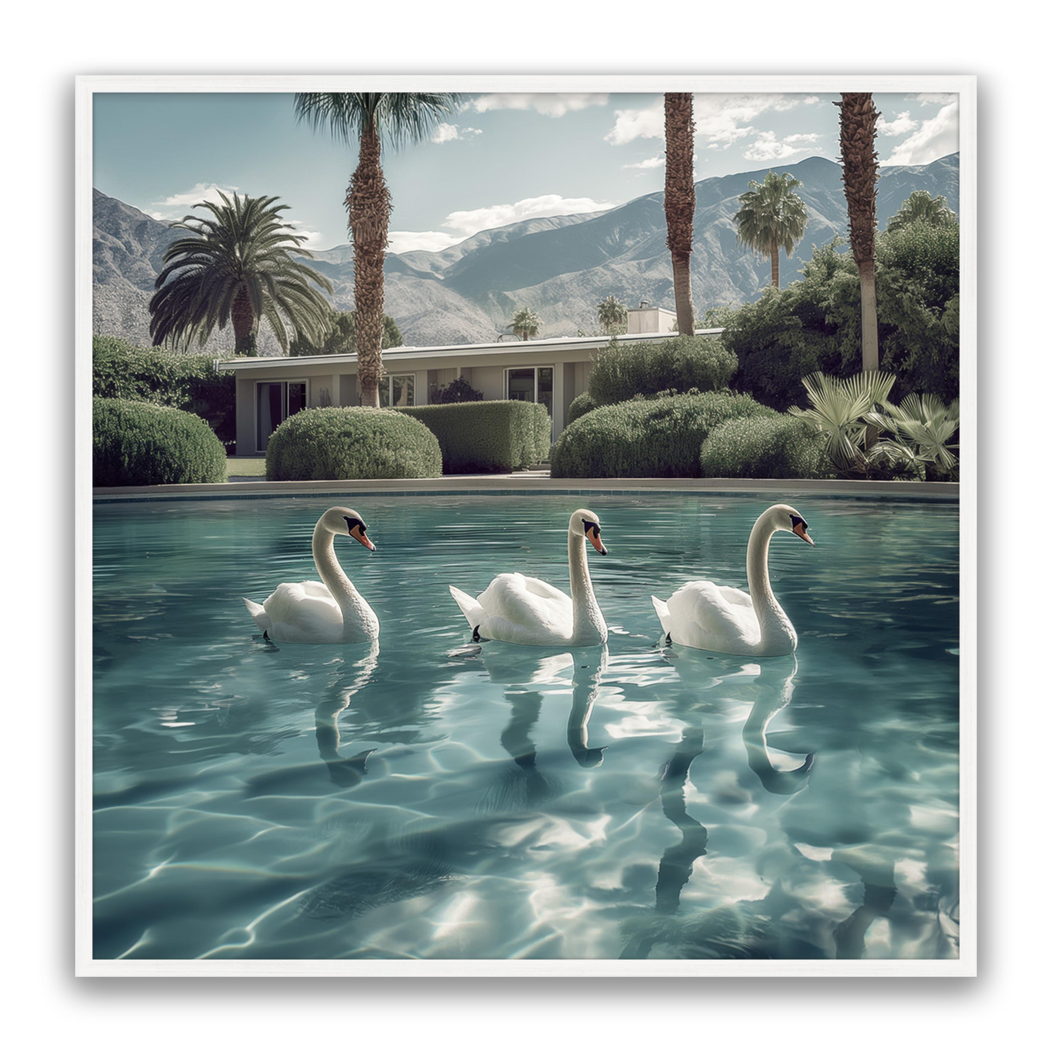 Lady Swans