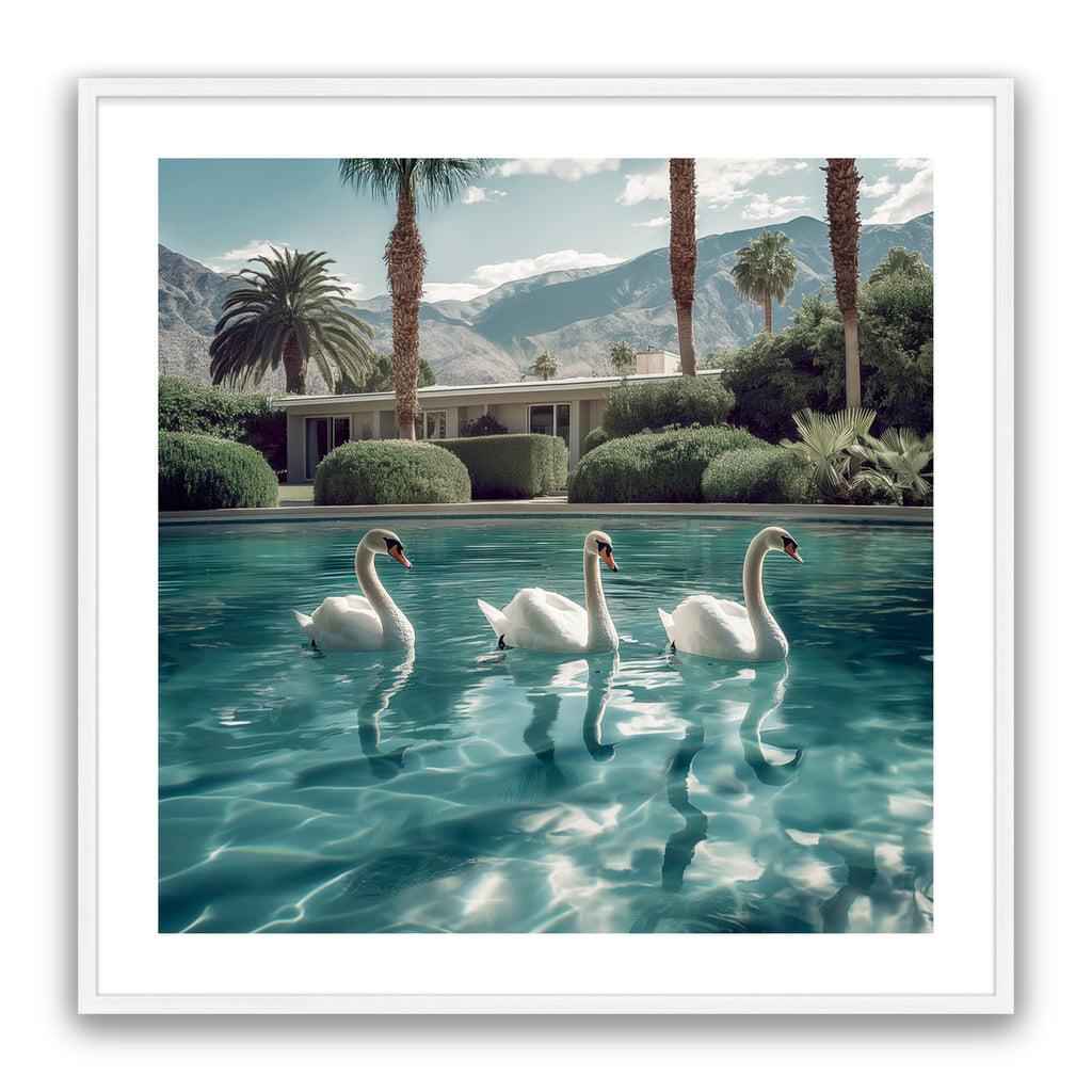 Lady Swans