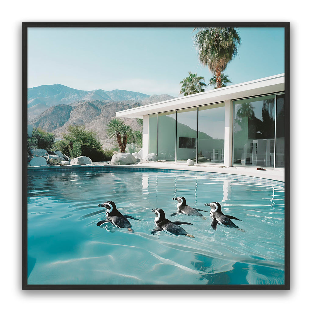 Pool Party