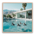 Pool Party