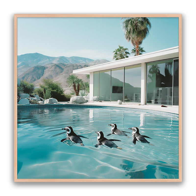 Pool Party
