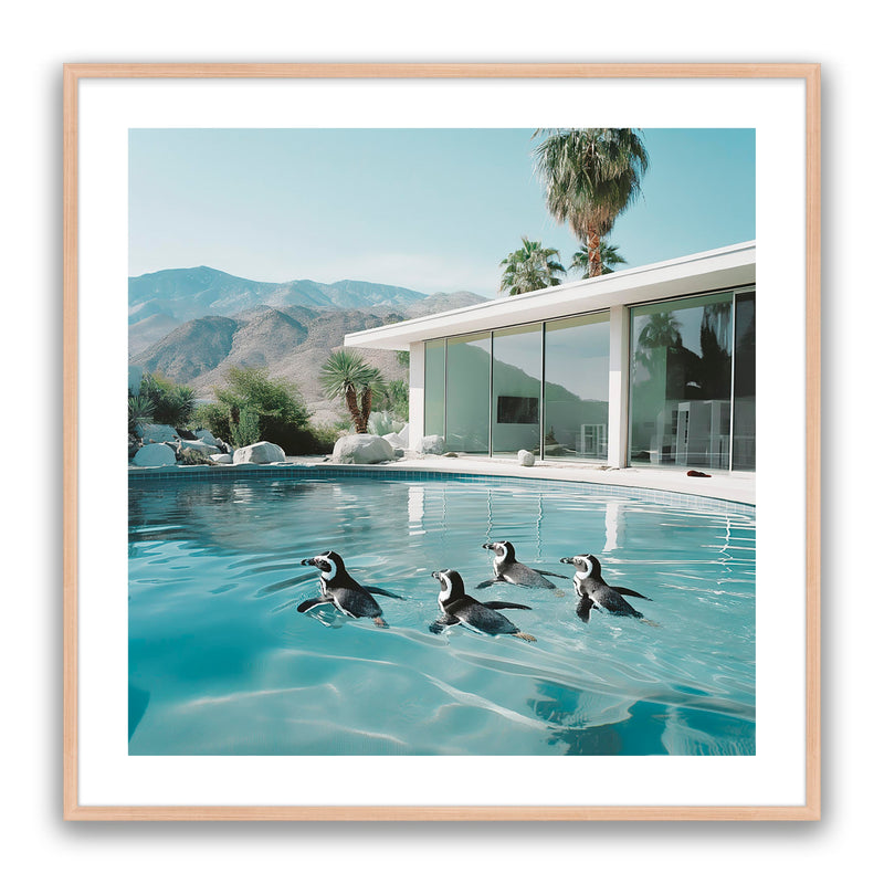 Pool Party