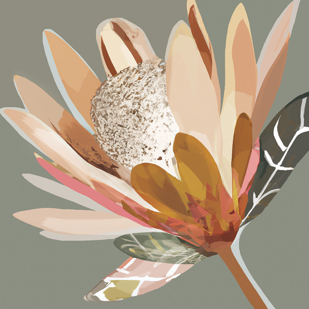 Artichoke Protea