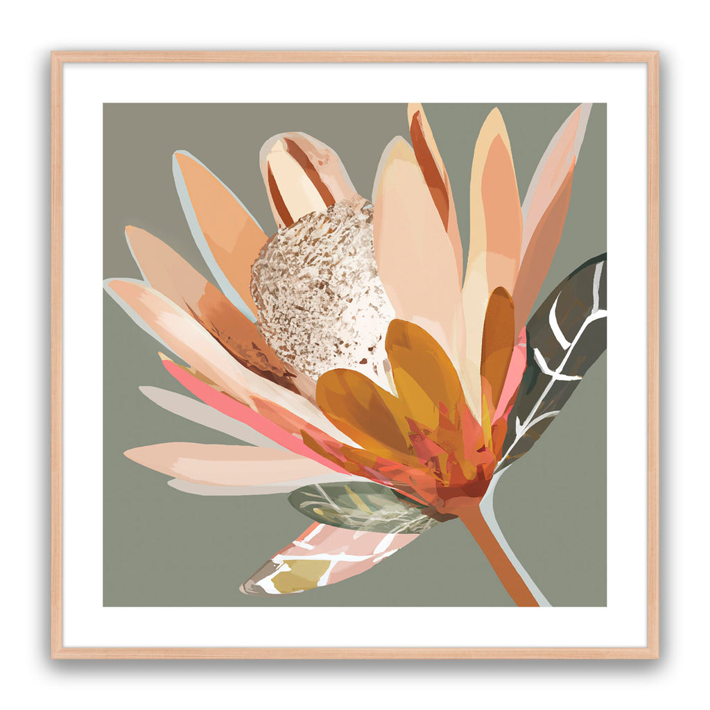 Artichoke Protea