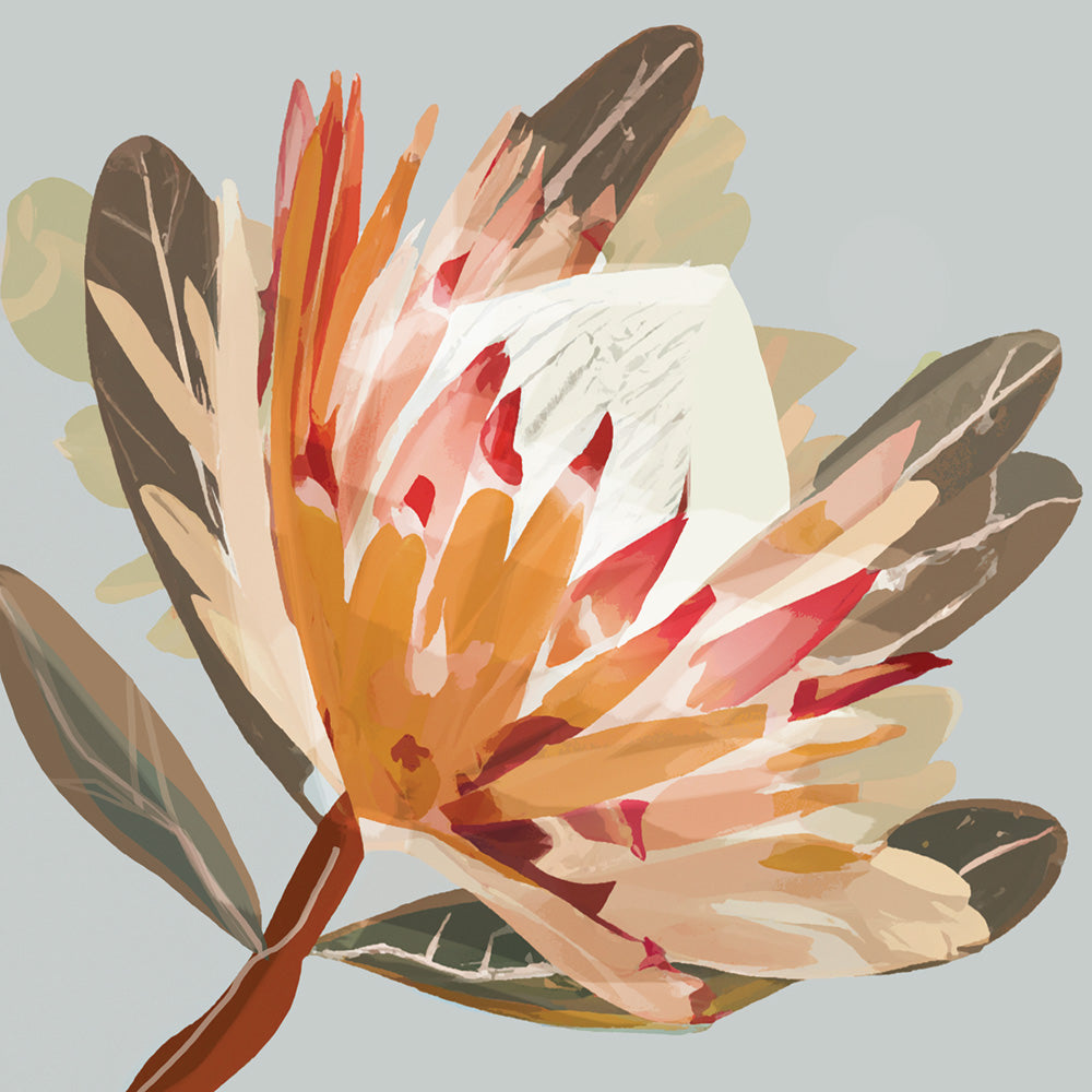Sedona Protea