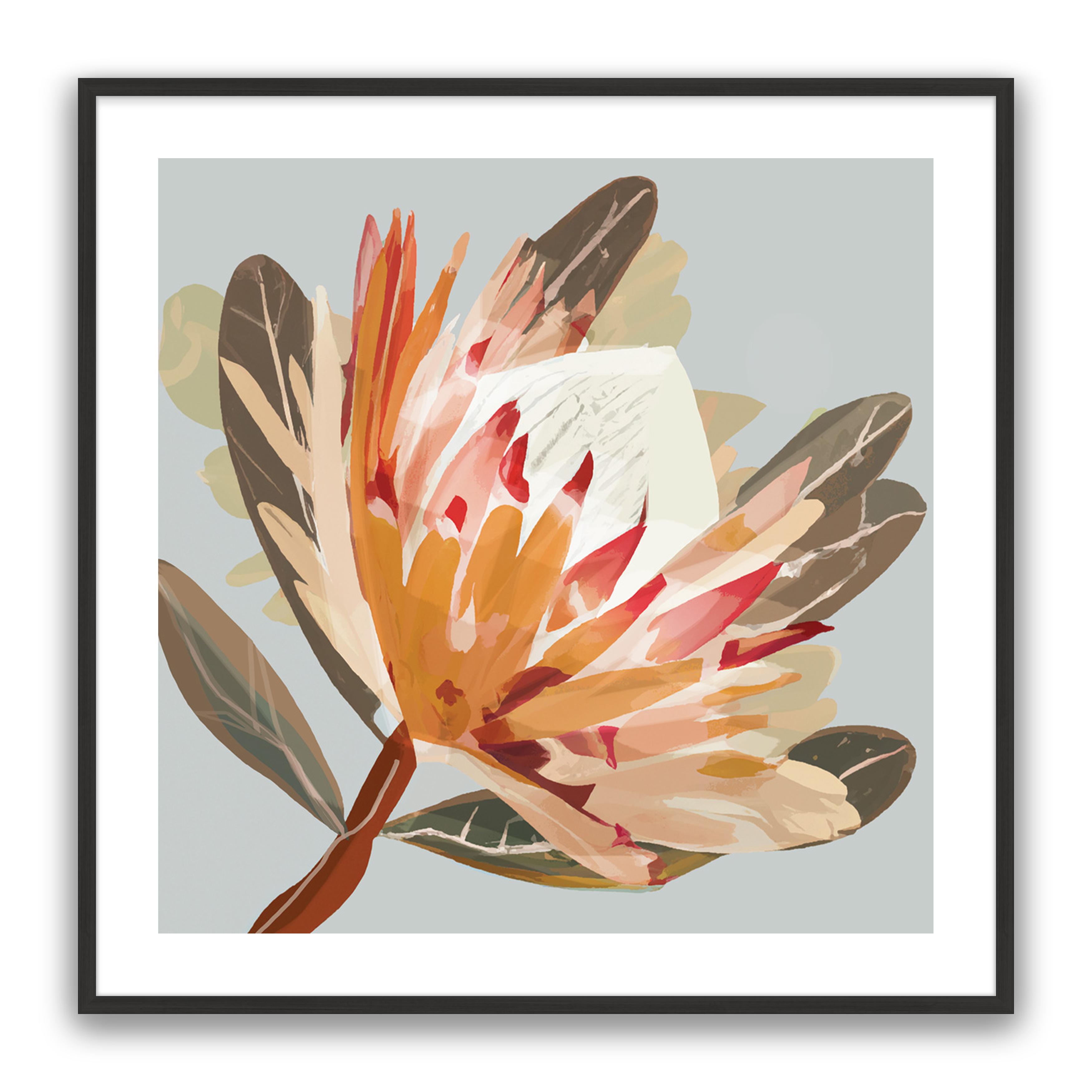 Sedona Protea