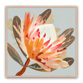 Sedona Protea