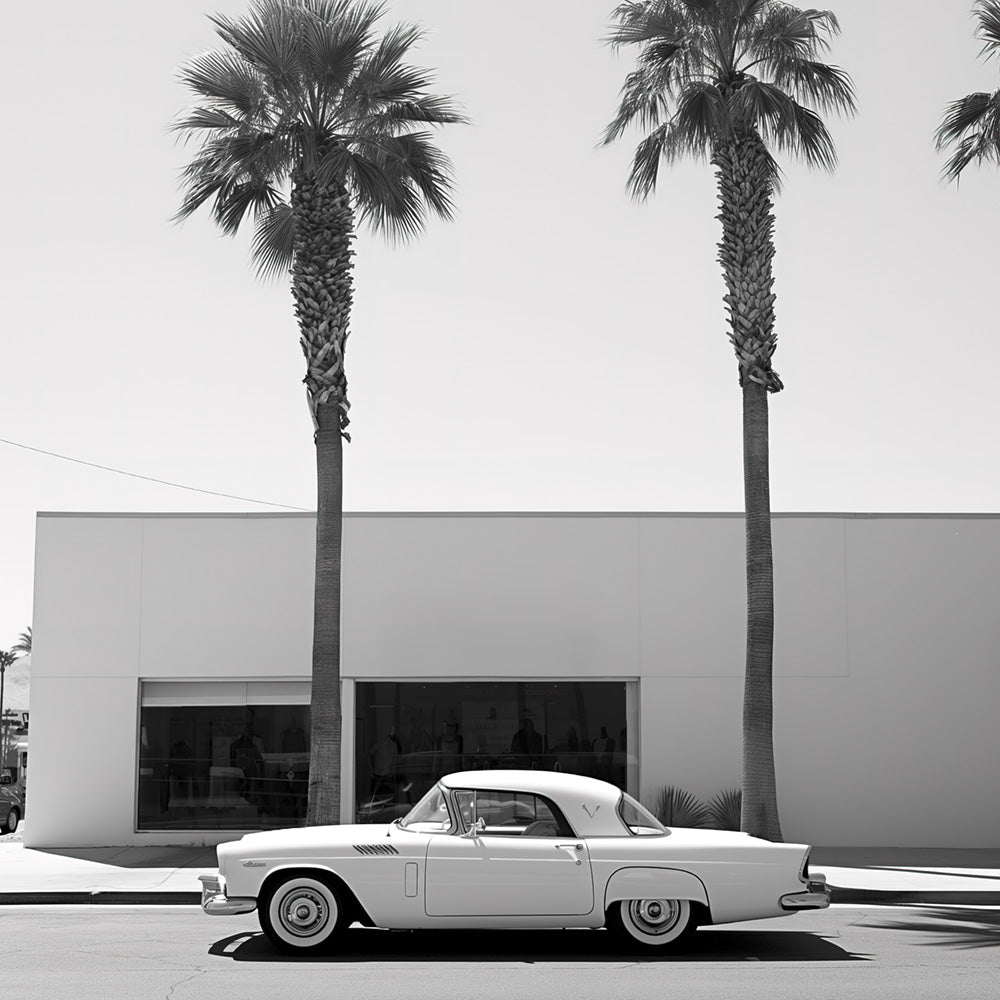 Ocean Drive