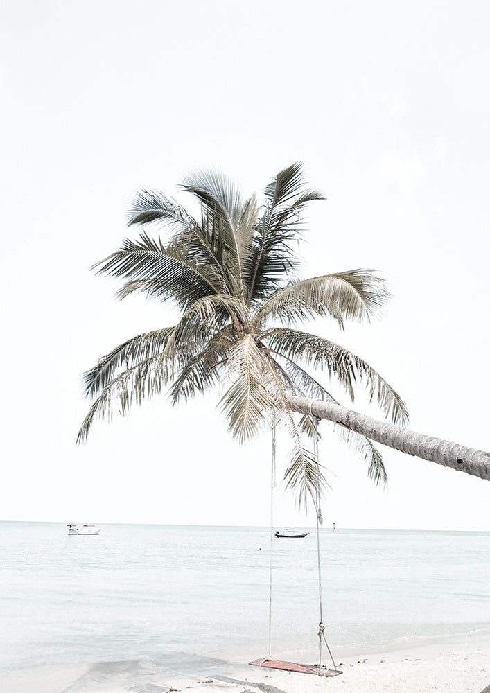 Palm Swing