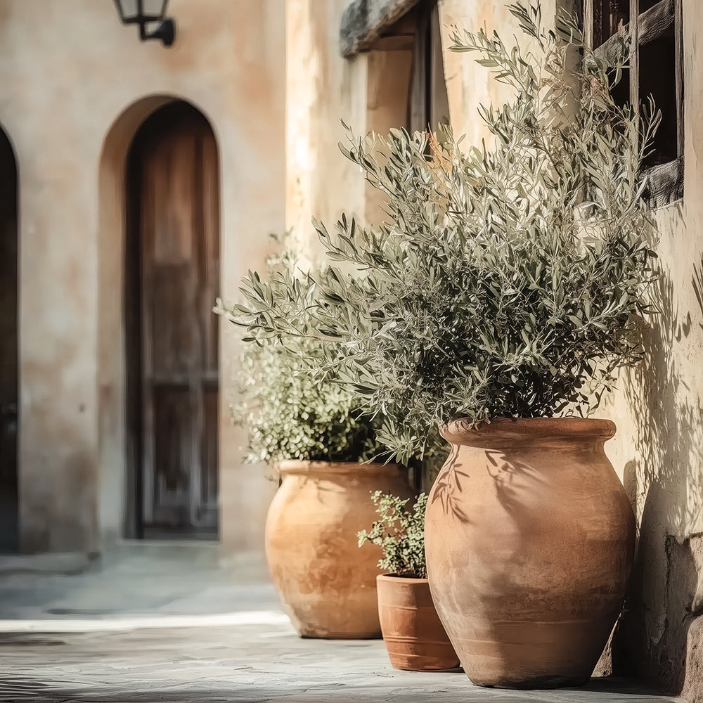 Campania Pots