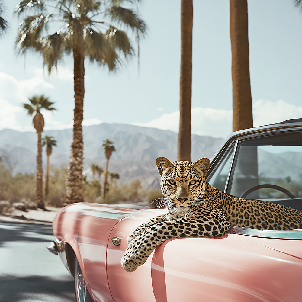 Leopard Day