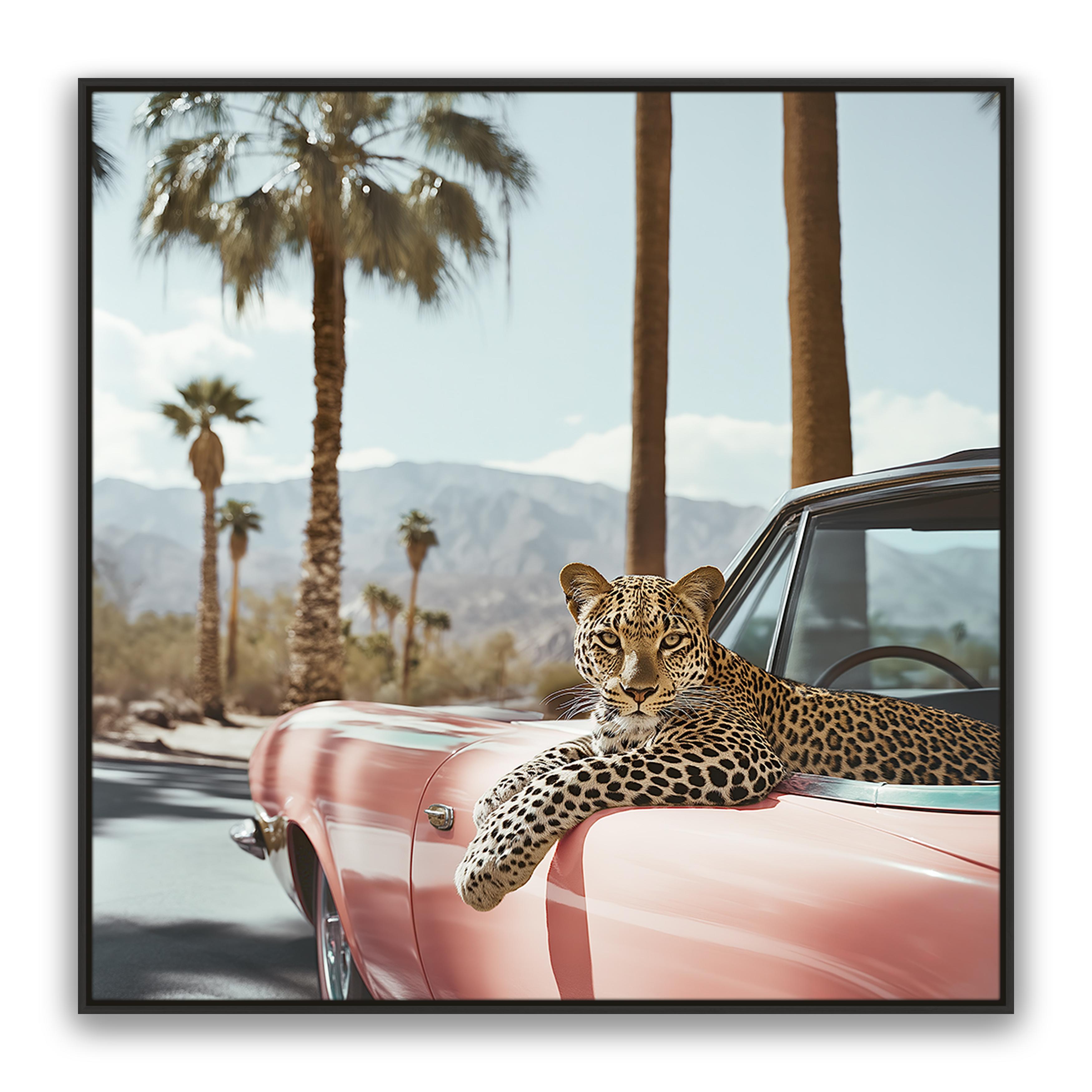Leopard Day
