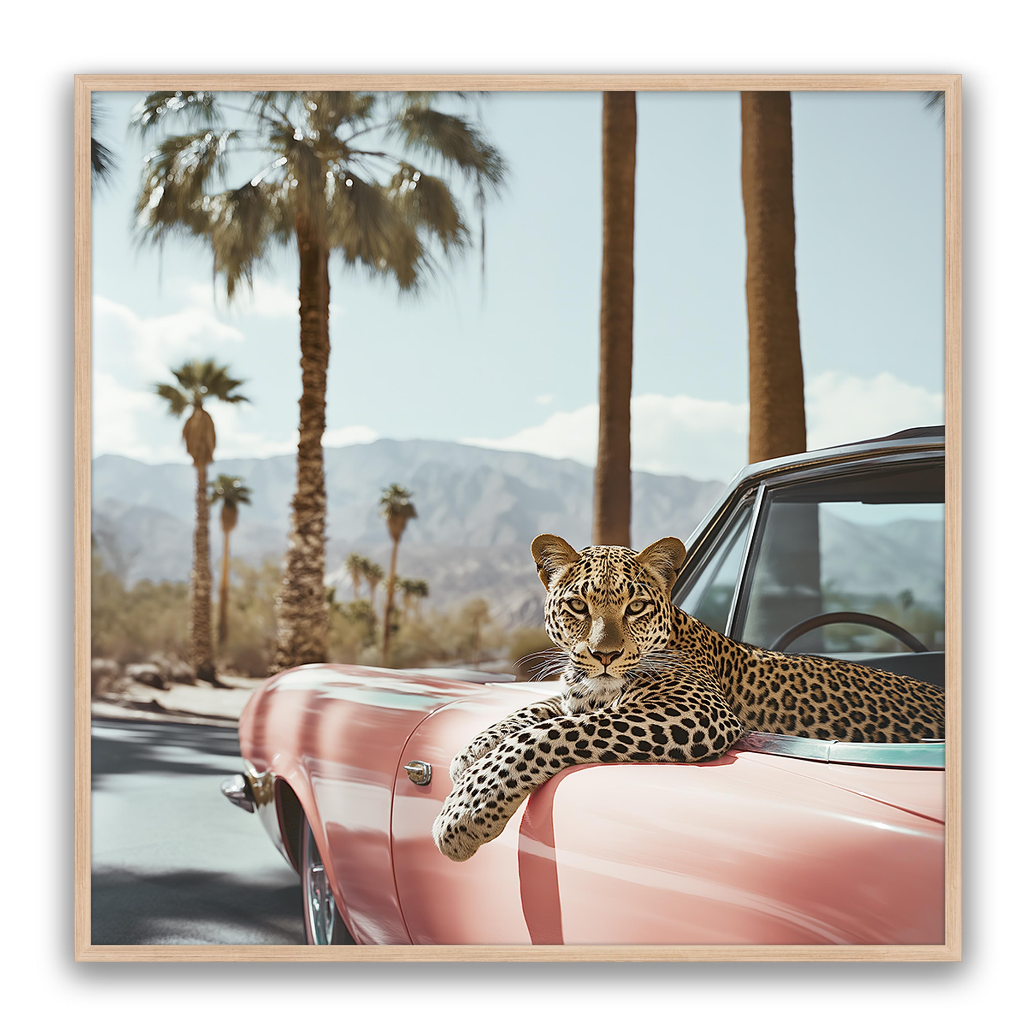 Leopard Day