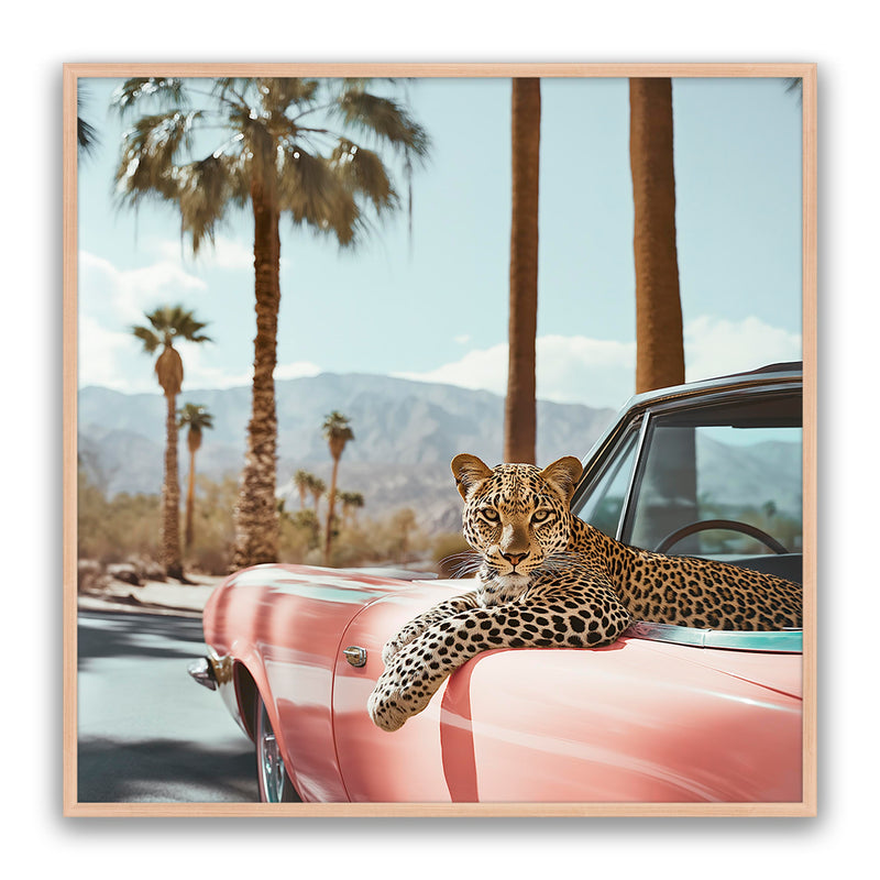 Leopard Day