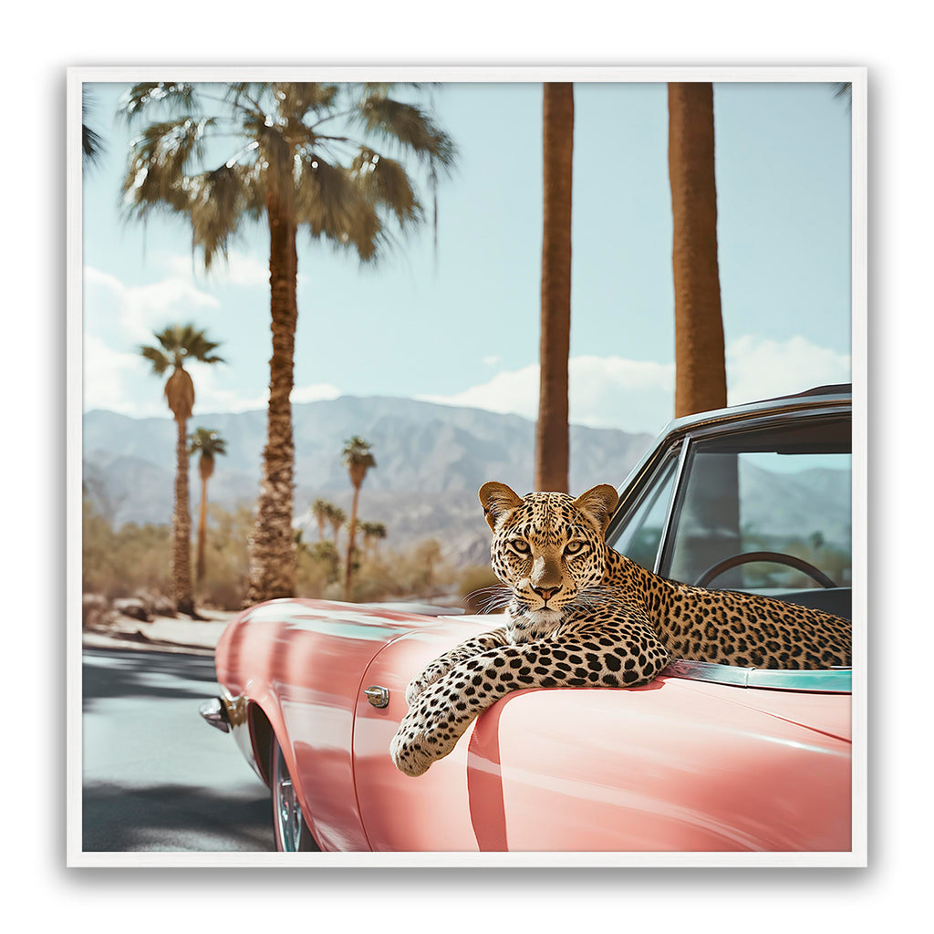 Leopard Day