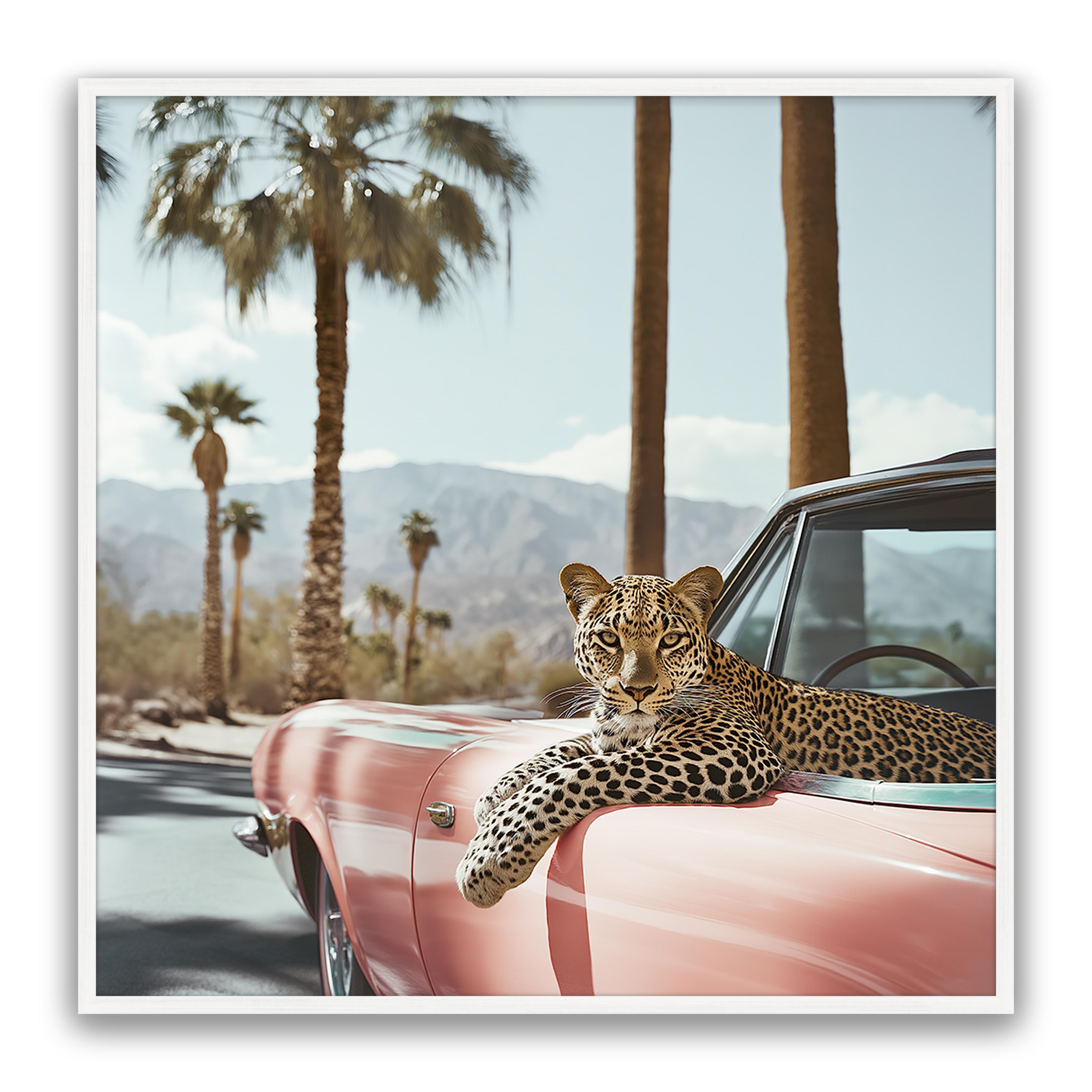 Leopard Day
