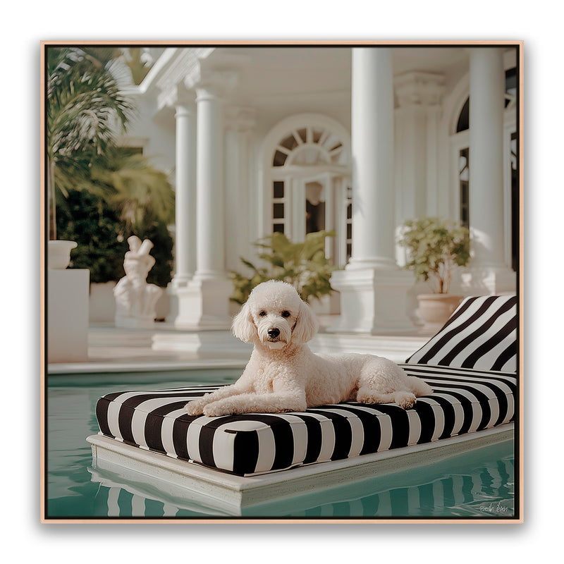 Pippa