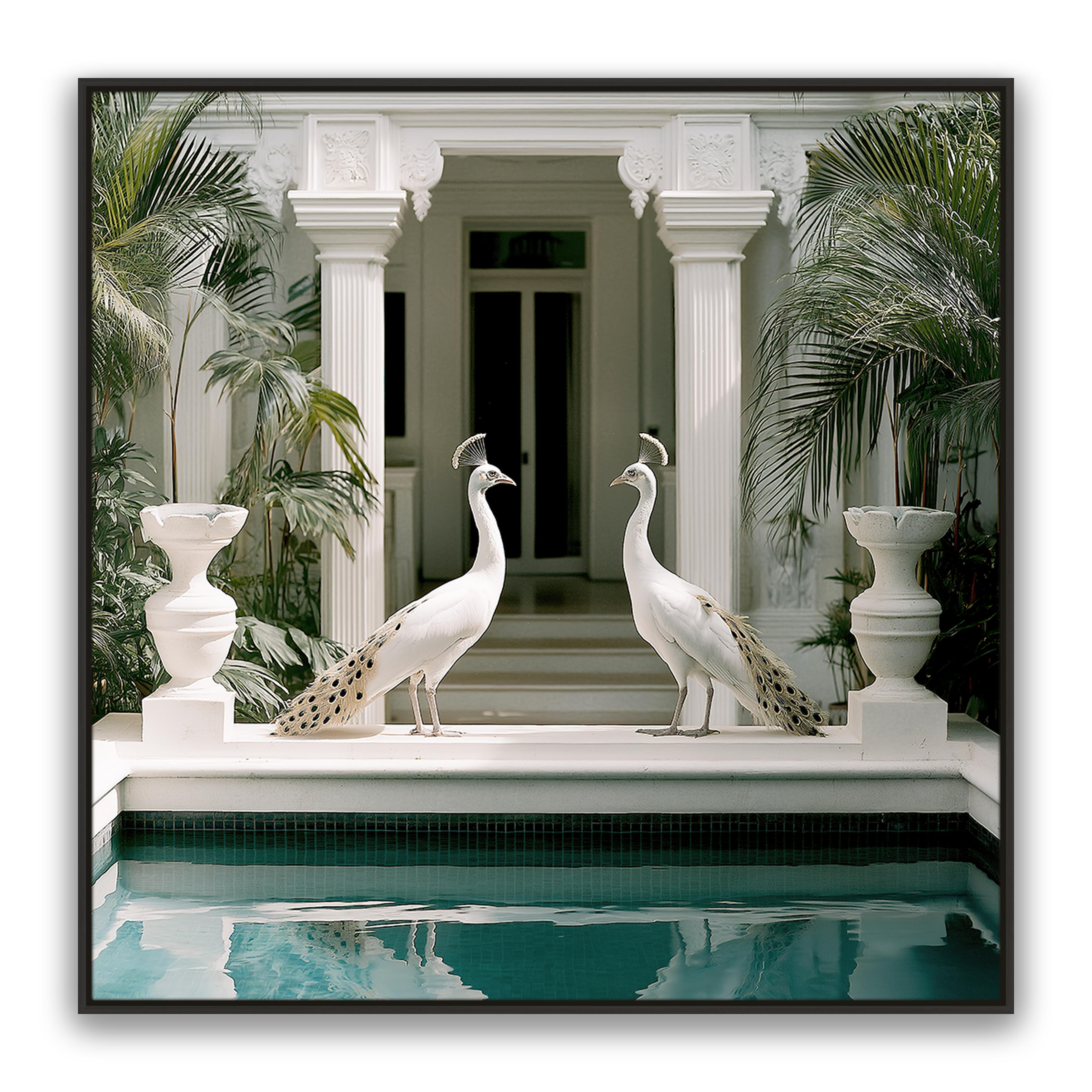 Blanca Birds