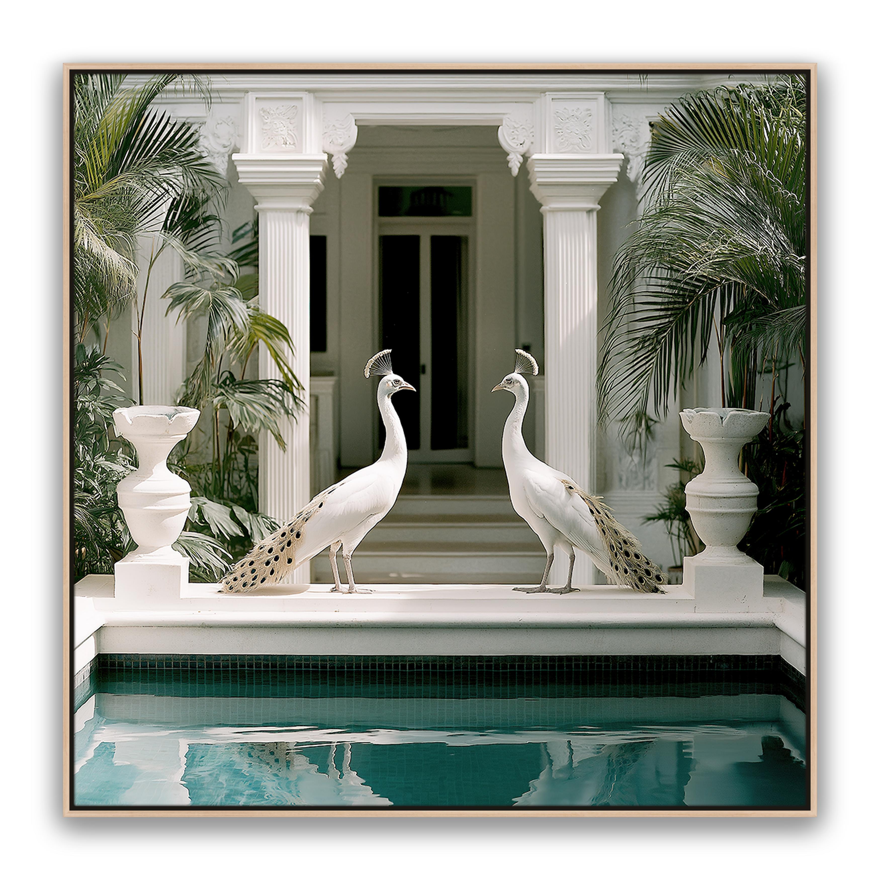 Blanca Birds