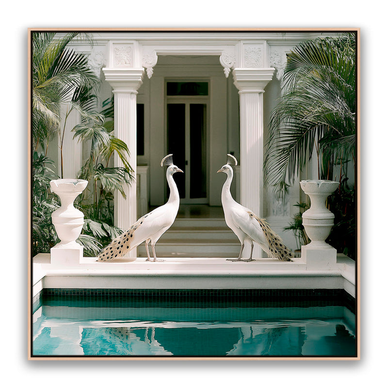 Blanca Birds