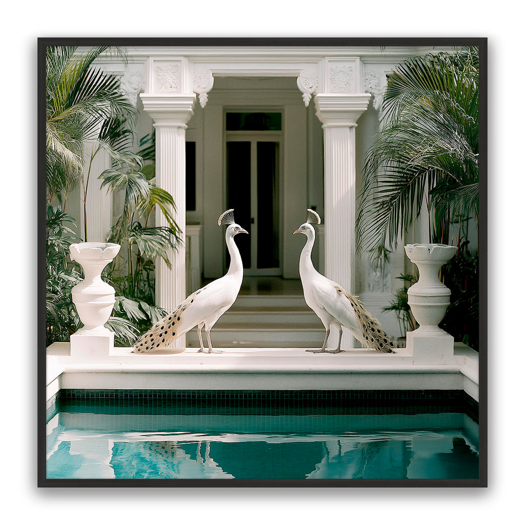 Blanca Birds