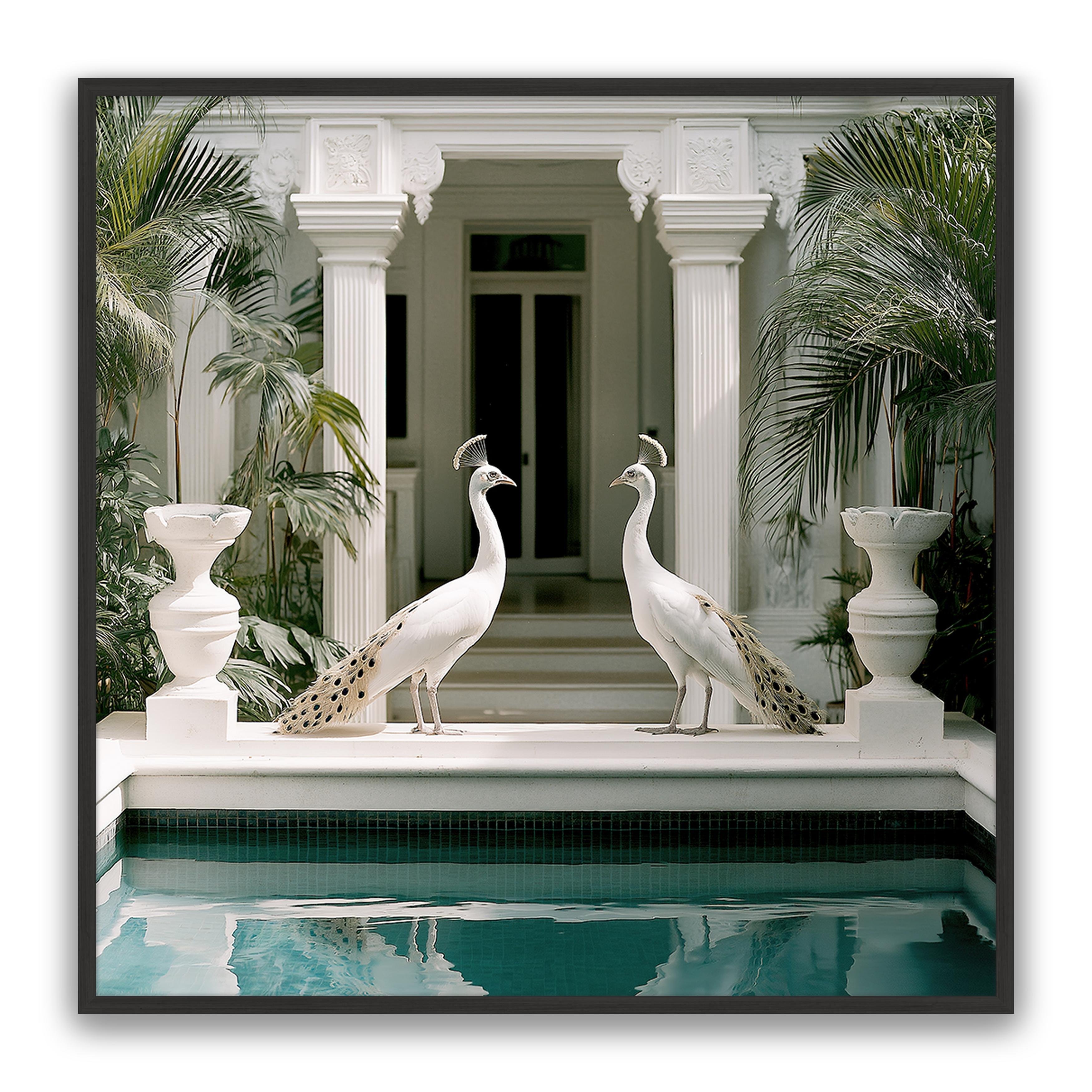 Blanca Birds