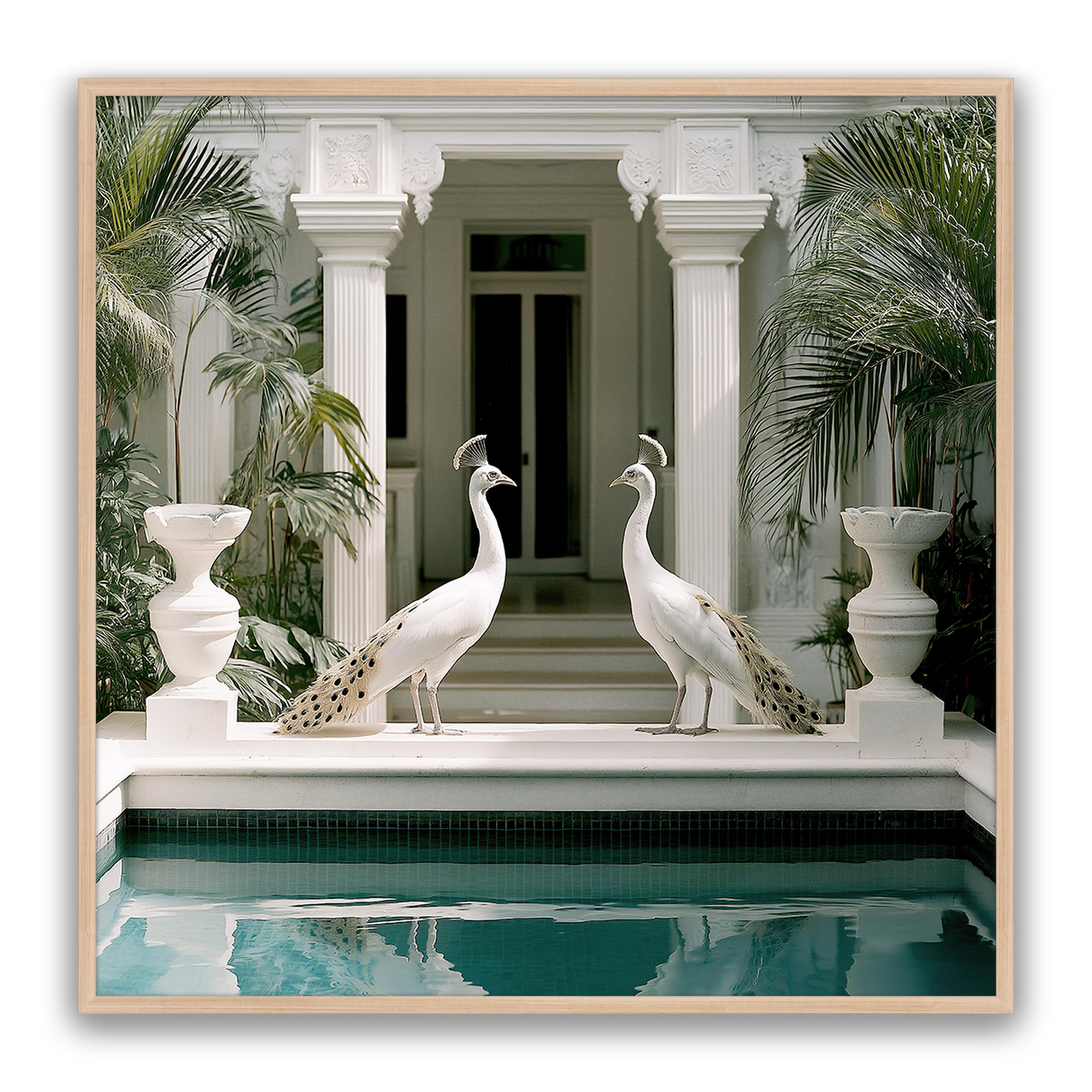 Blanca Birds