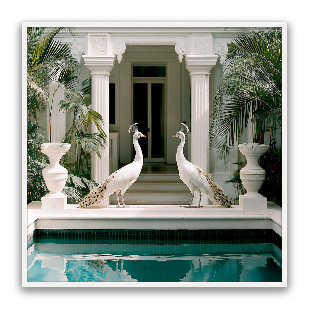 Blanca Birds