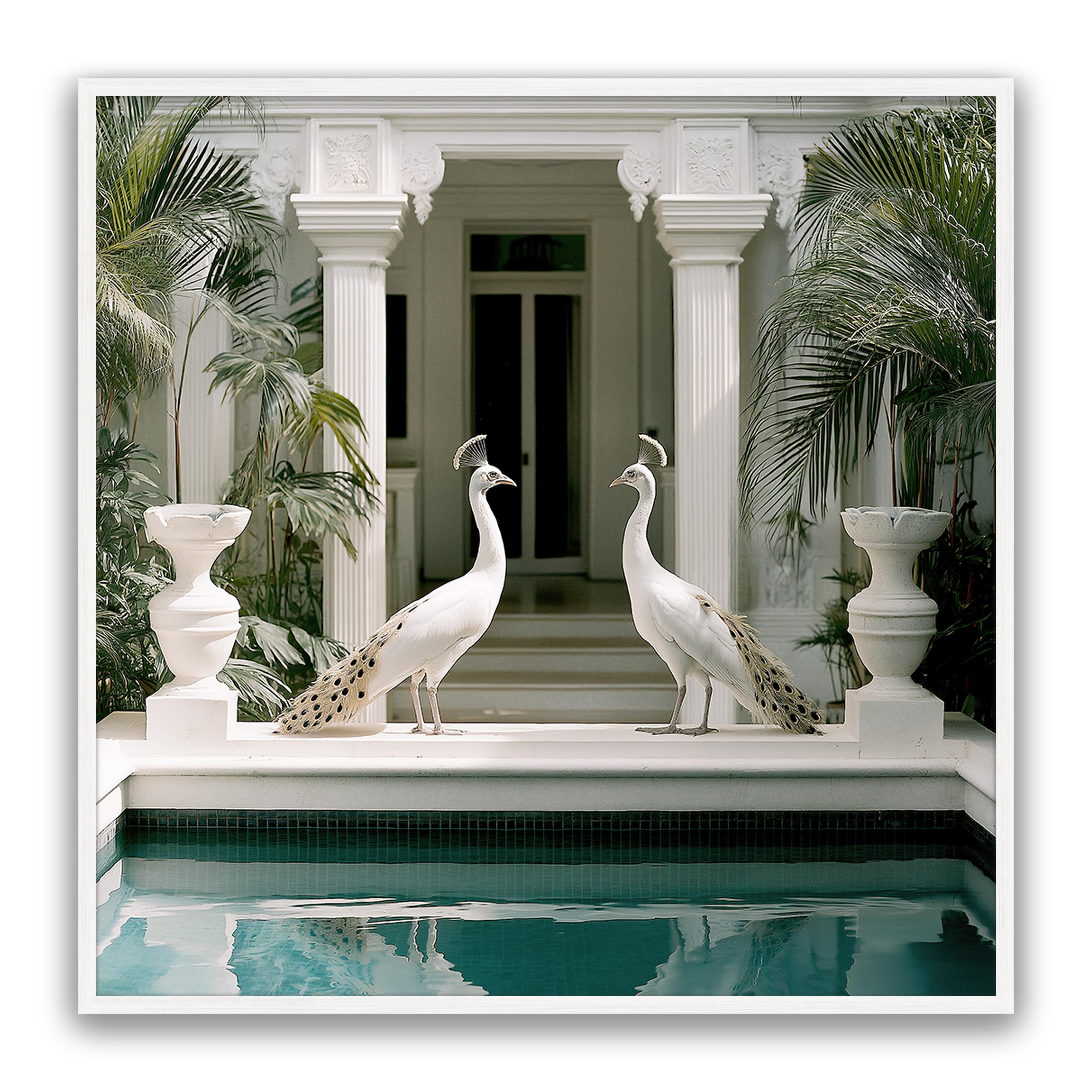 Blanca Birds