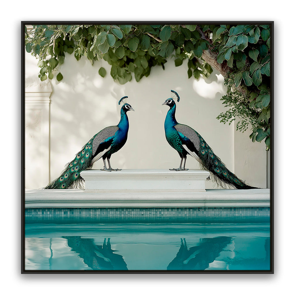Peacocks Blu