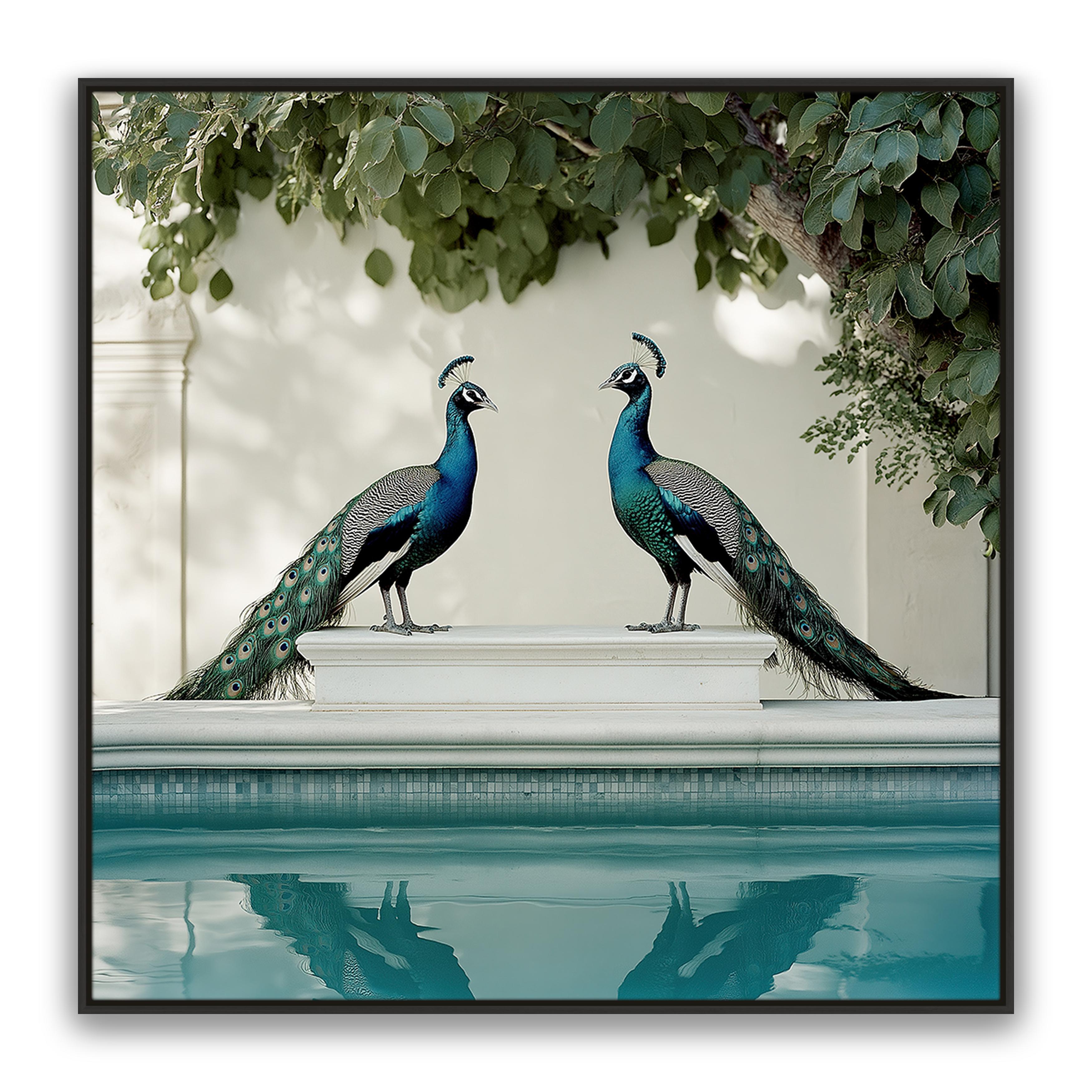 Peacocks Blu