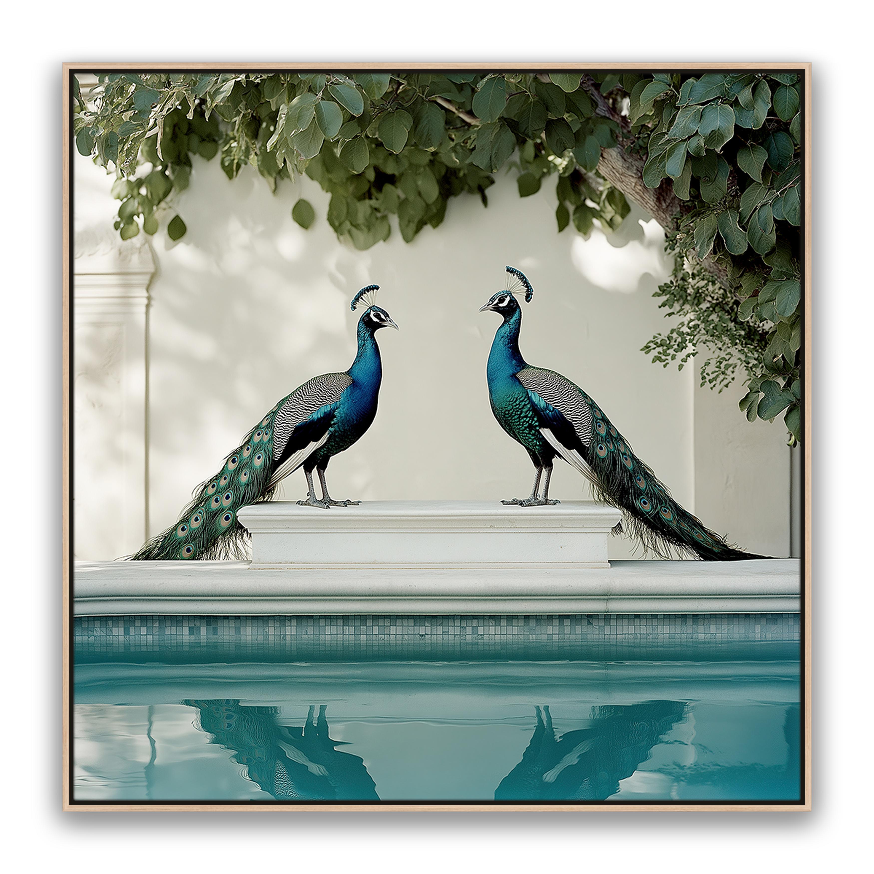 Peacocks Blu