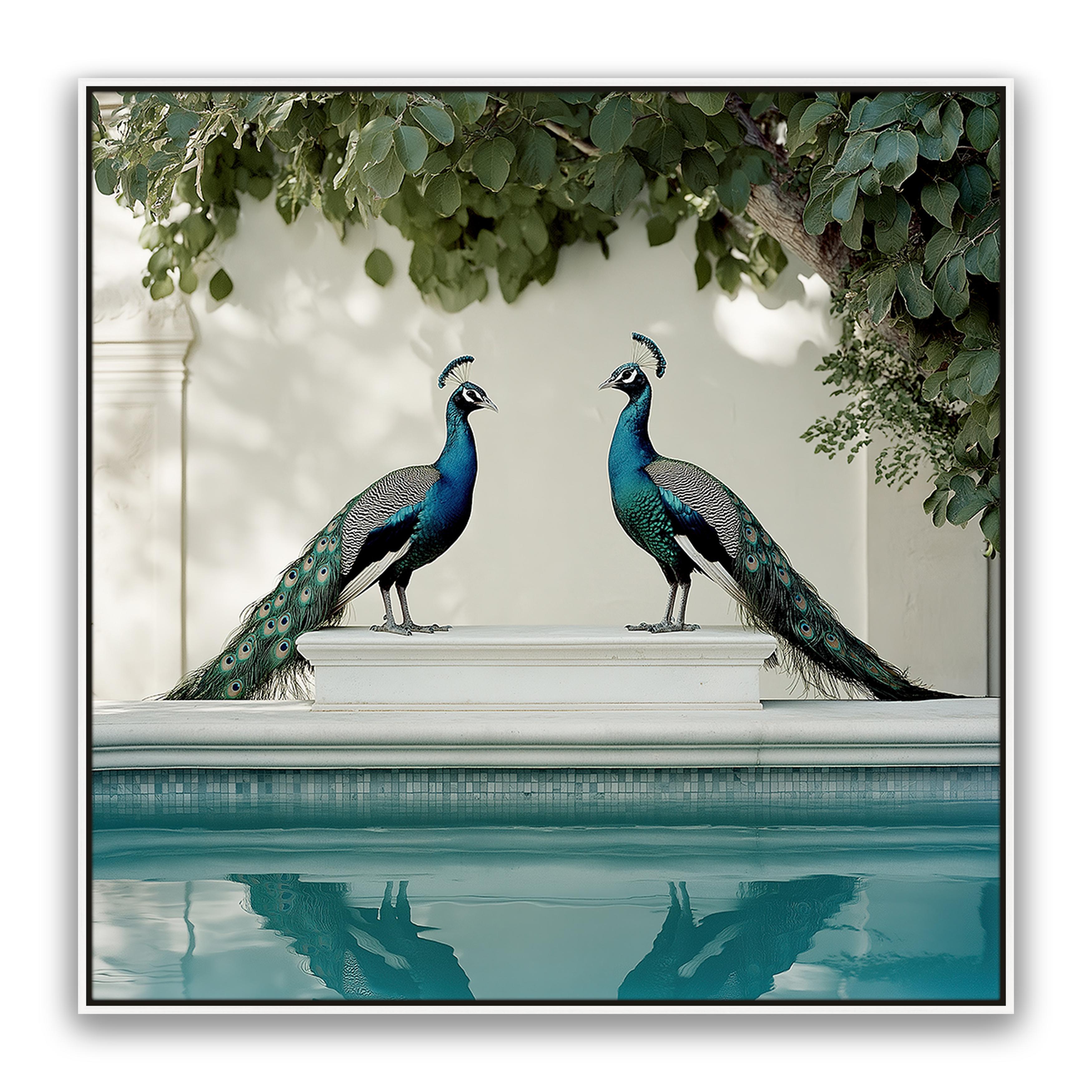 Peacocks Blu